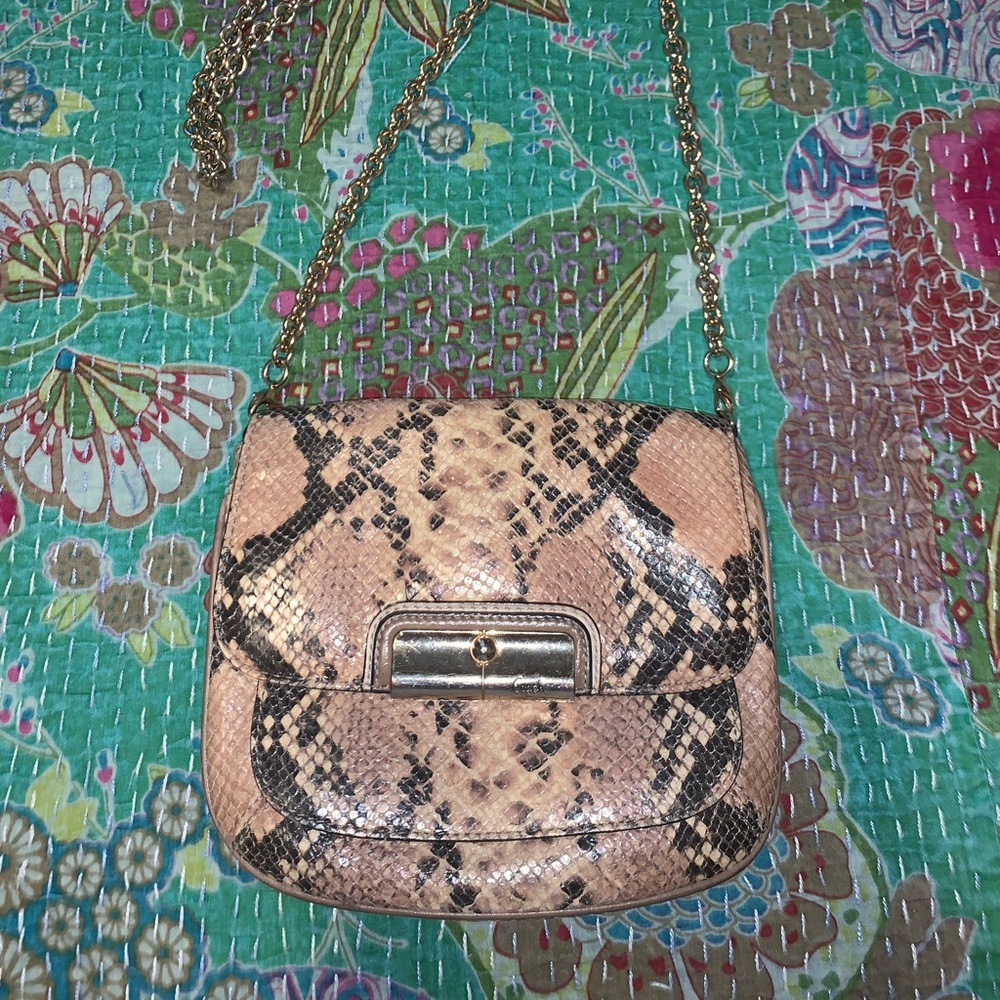 Small snakeskin Coach purse
